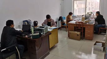 東光縣審計(jì)局職業(yè)中介活動專項(xiàng)審計(jì)工作周報(bào)（11.09-11.15）